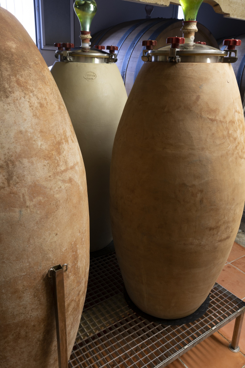 VIGNERONS CORSICAN