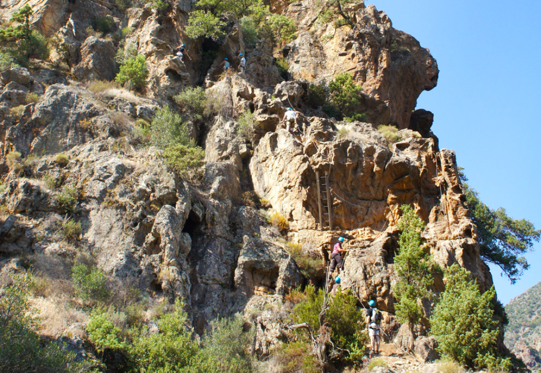 in terra corsa