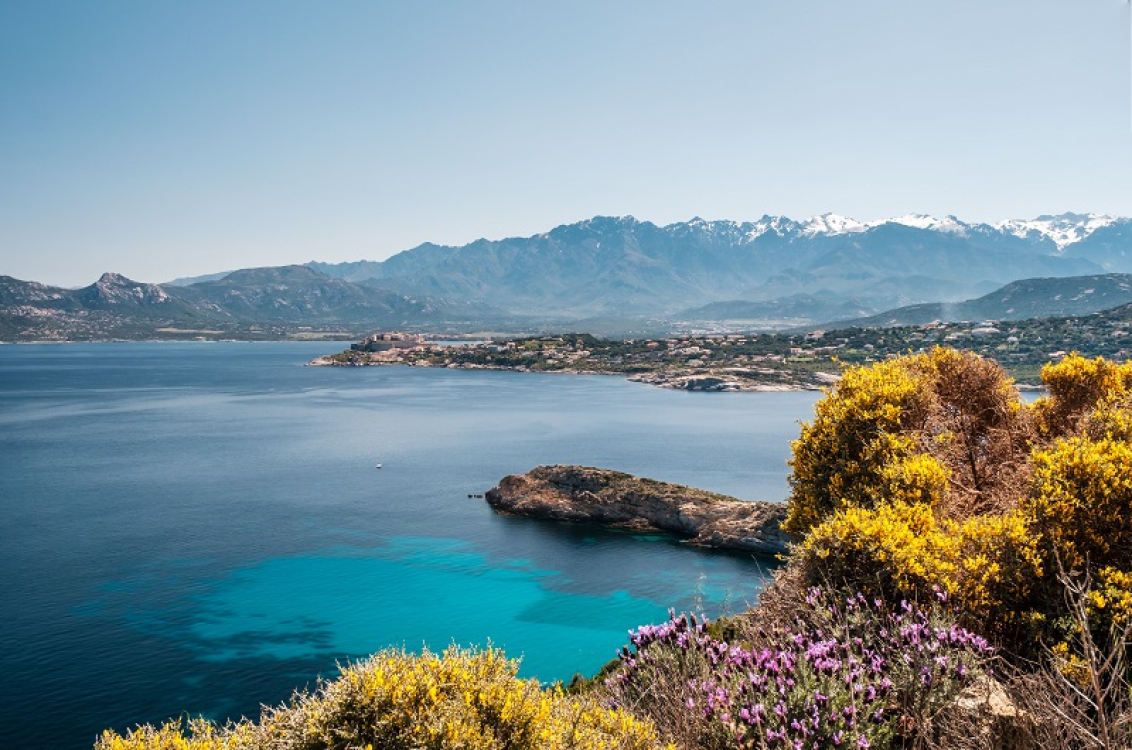 Printemps-corsica