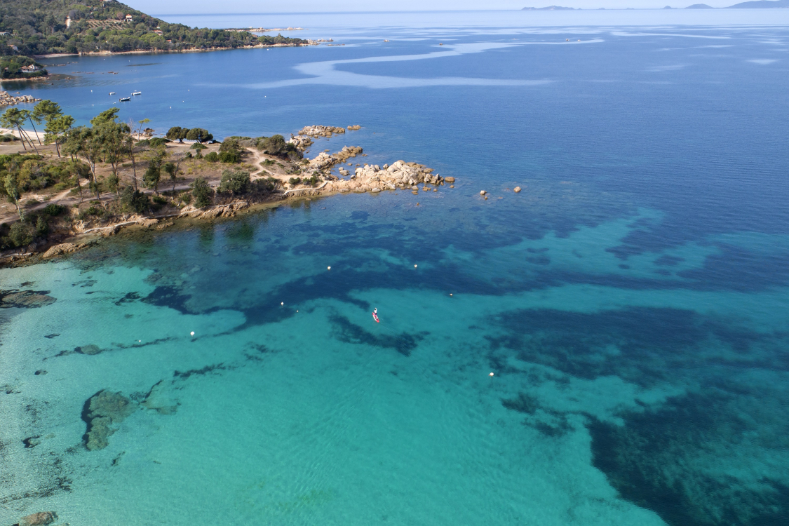 Tourisme d'Affaires 2024