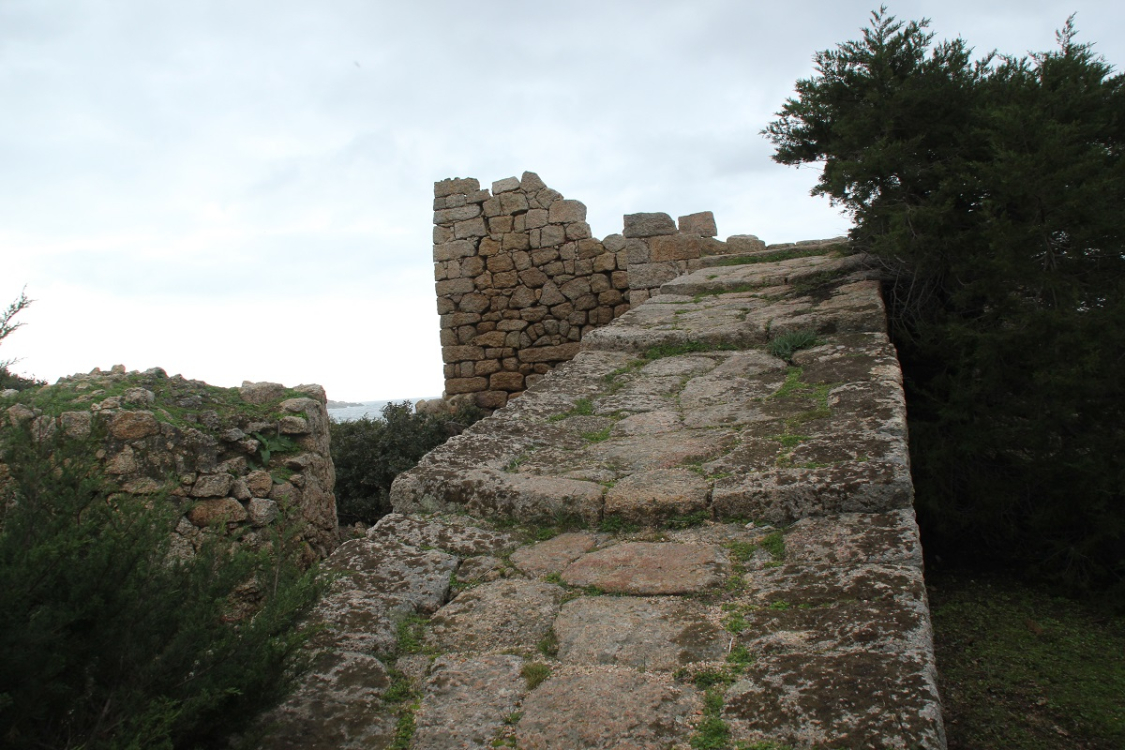 senetosa