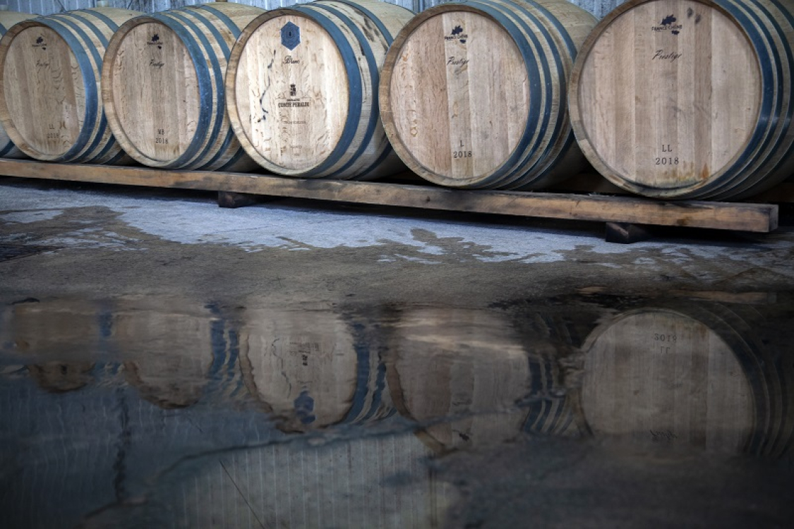 Pays Ajaccien_Ajaccio_Gastronomie_Vin_vignoble_automne_vendanges_Vigne ©ATC-Sylvain Alessandri-300