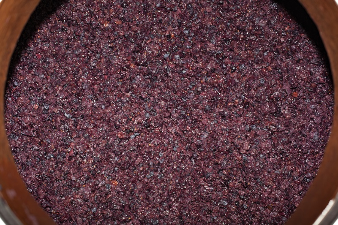 Pays Ajaccien_Ajaccio_Gastronomie_Vin_vignoble_automne_vendanges_Vigne ©ATC-Sylvain Alessandri-311