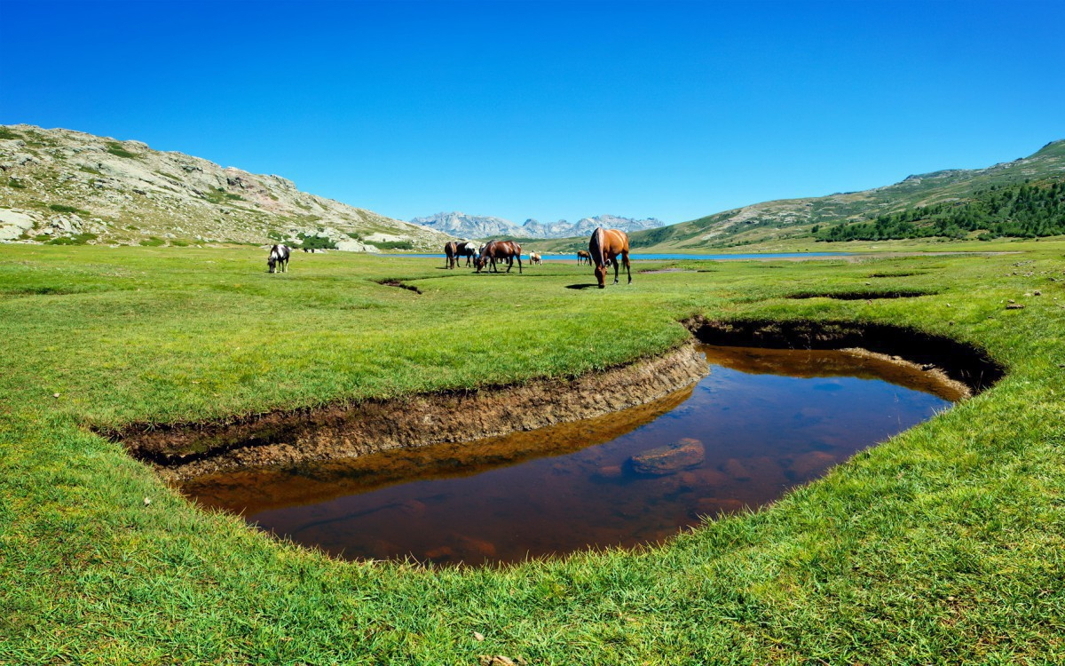 Top des plus beaux sites naturels de Corse