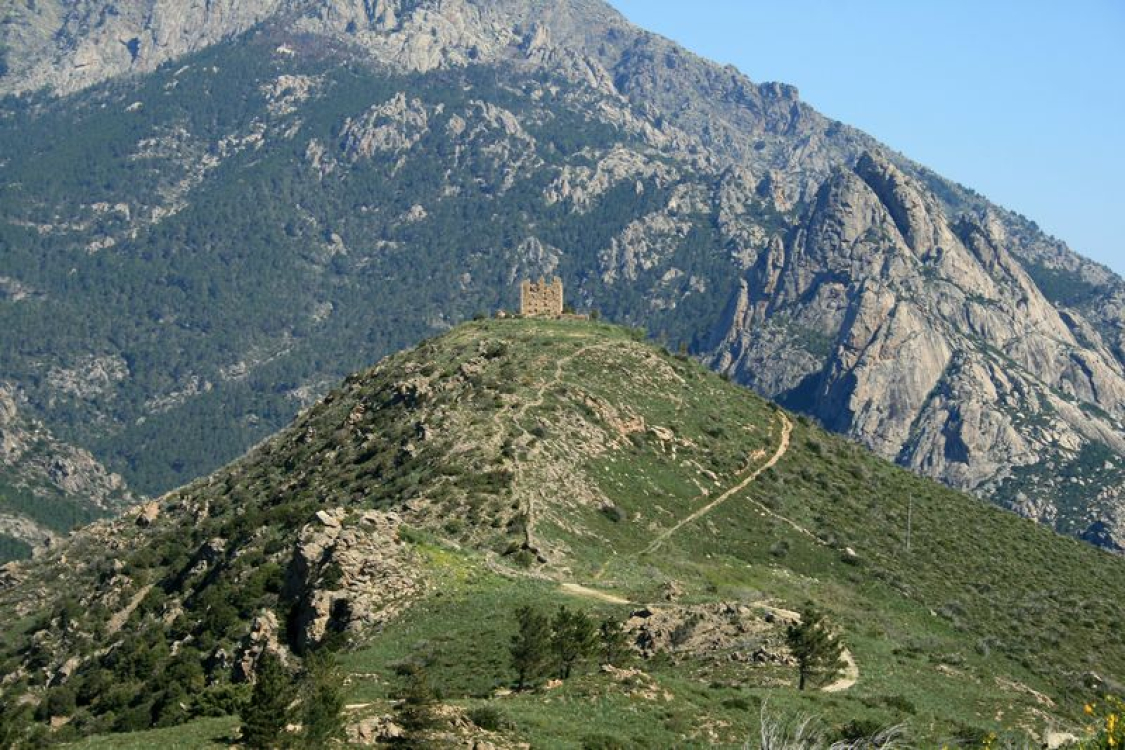 ATCS.Alessandrivizzavona2