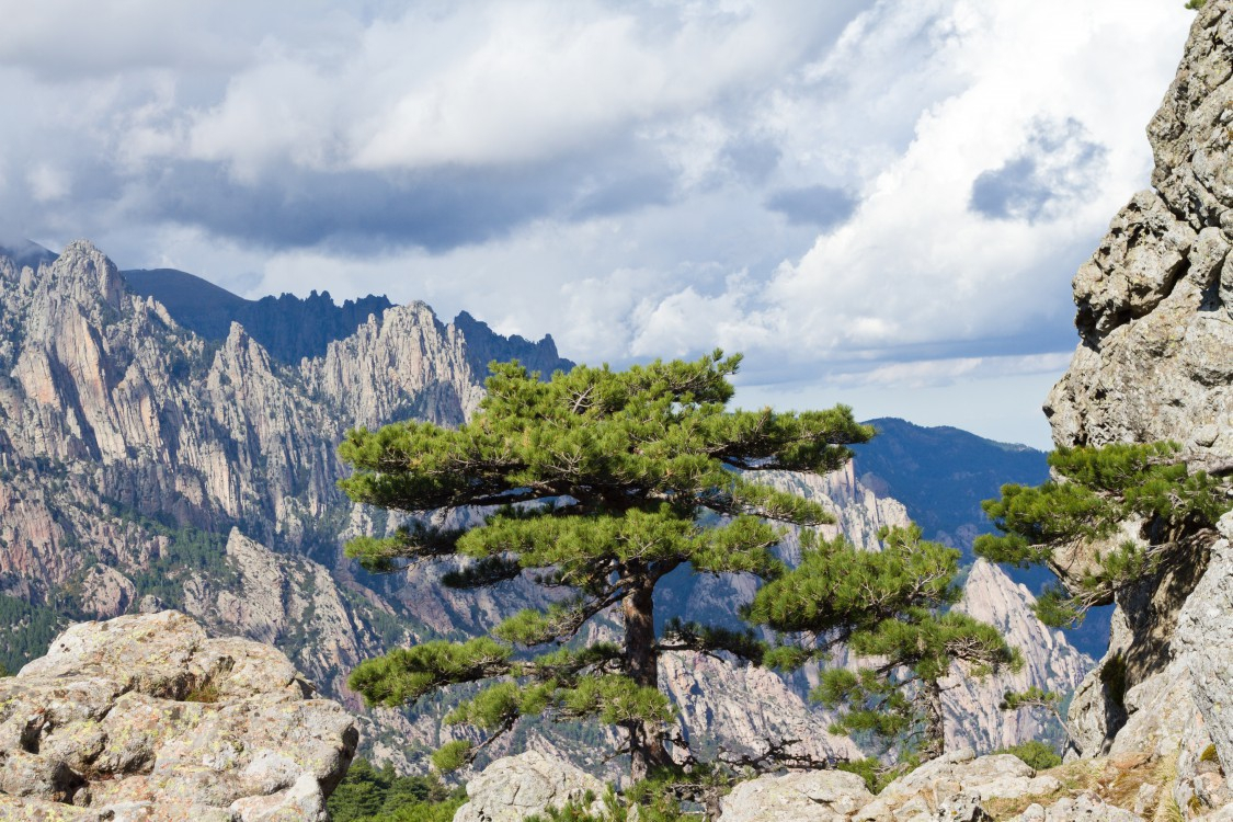 bolga2bBavellaFotolia.com