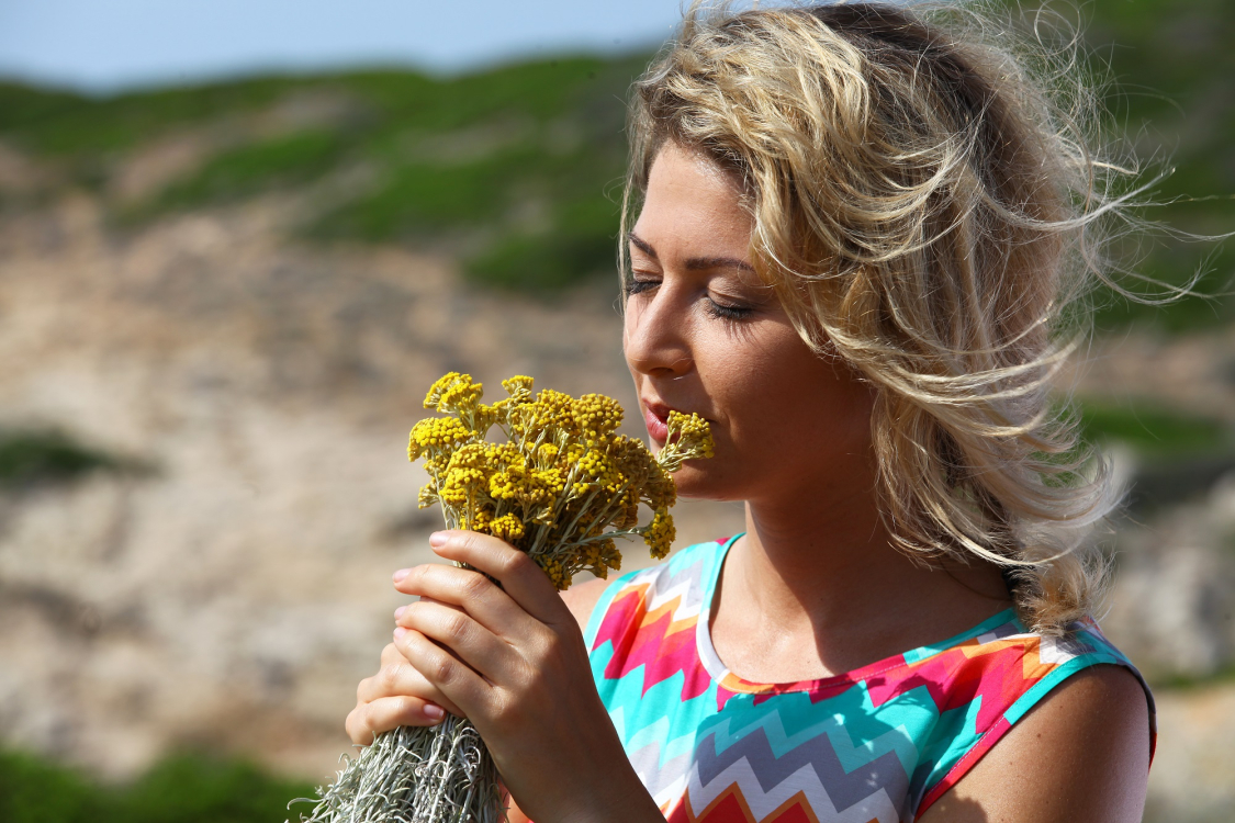 corse nature immortelles 