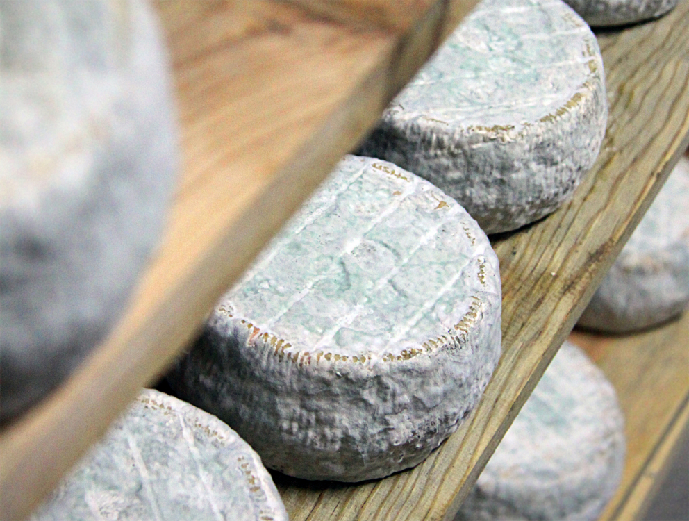 Le fromage de brebis ©ATC-S.ALESSANDRI