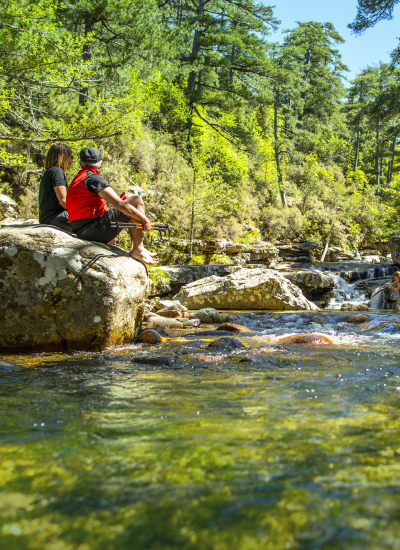 excursions corsica