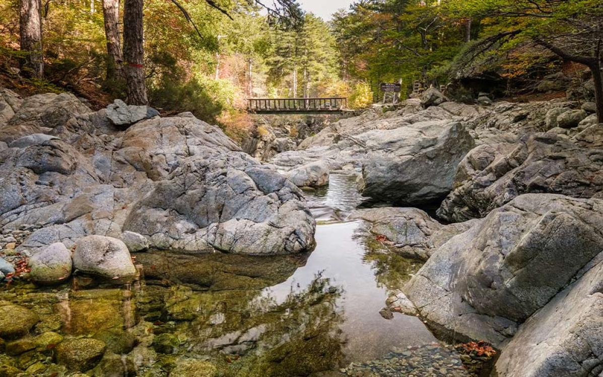 The Vizzavona Forest: crossed by the famous GR20 long-distance hiking trail ©atc Sylvain Alessandri