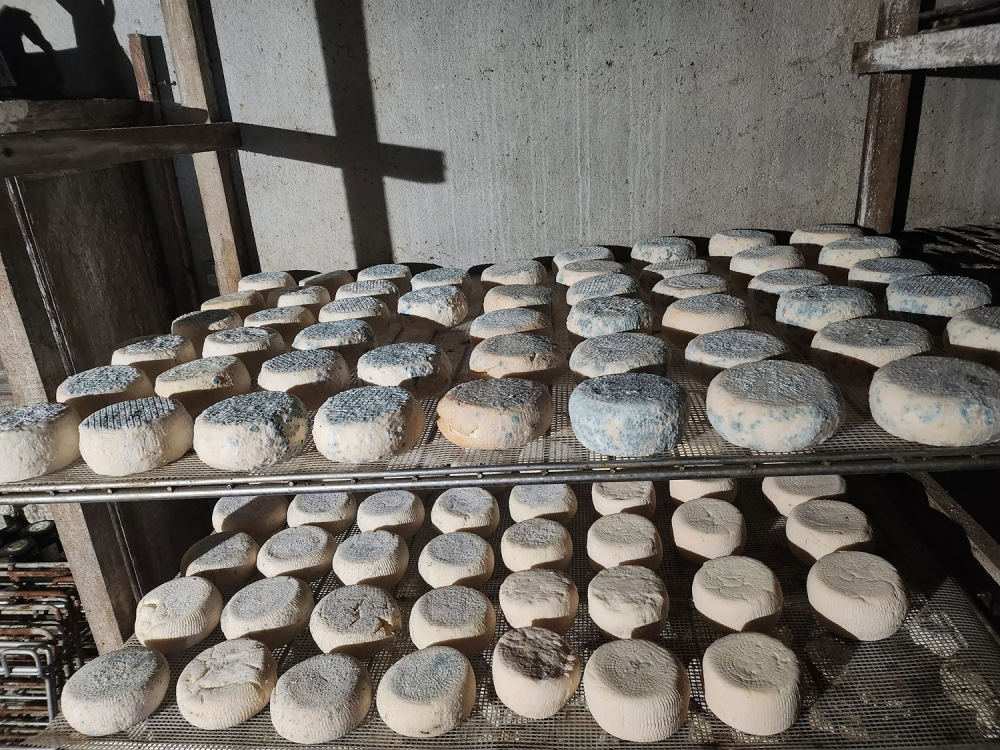 L’affinage des fromages, une étape importante dans sa fabrication ©ADOBESTOCK