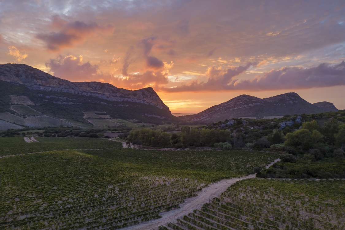 Patrimonio, culla dei grandi vini corsi, dove si incontrano territorio e tradizioni - La Conca d'Oro è classificata Grand Site de France ©ATC