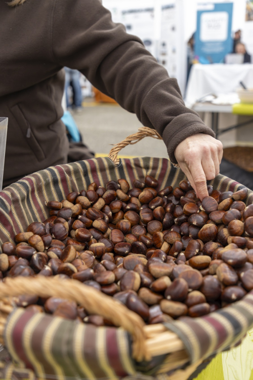 De onmisbare Corsicaanse kastanje, 1001 manieren om ervan te genieten © ATC