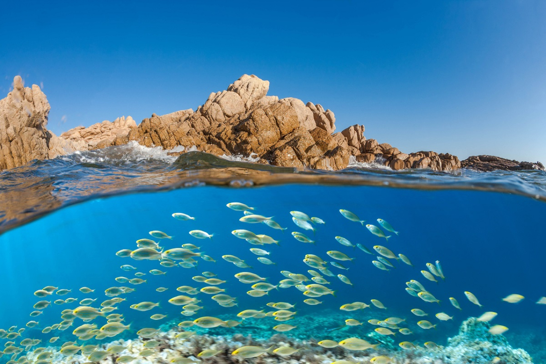 ©Robert Palomba – Onlyfrance.fr