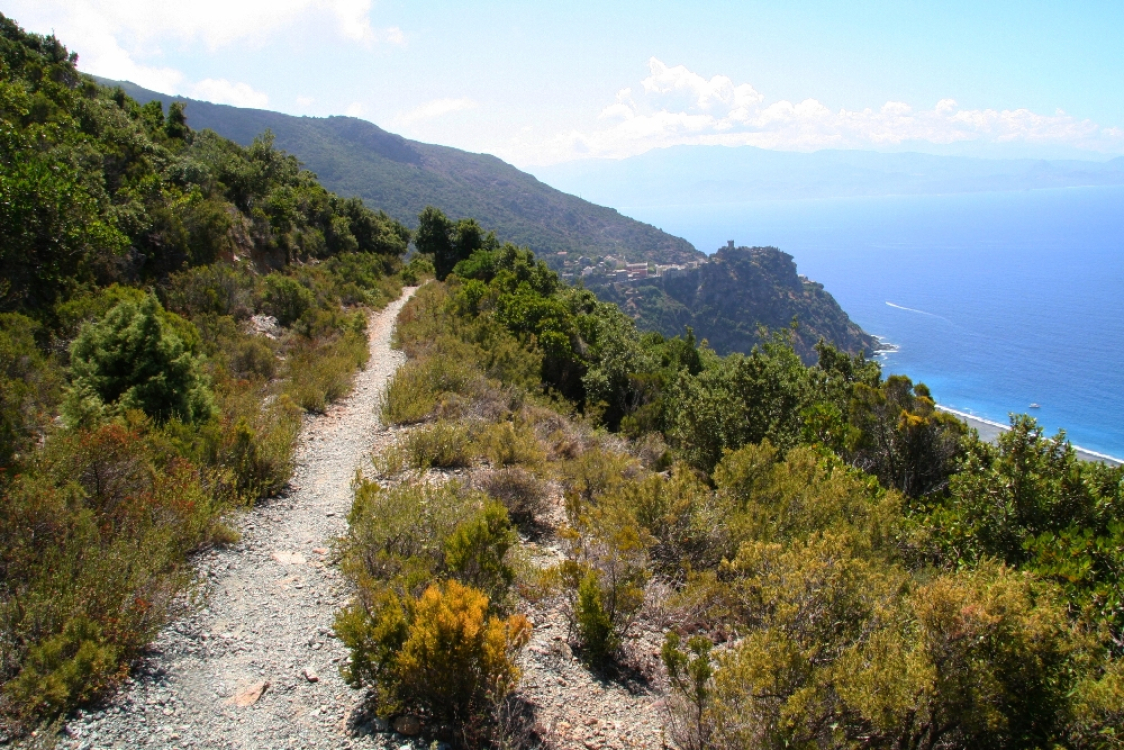 chemin-entre-olcani-et-nonza-tourisme-en-corse
