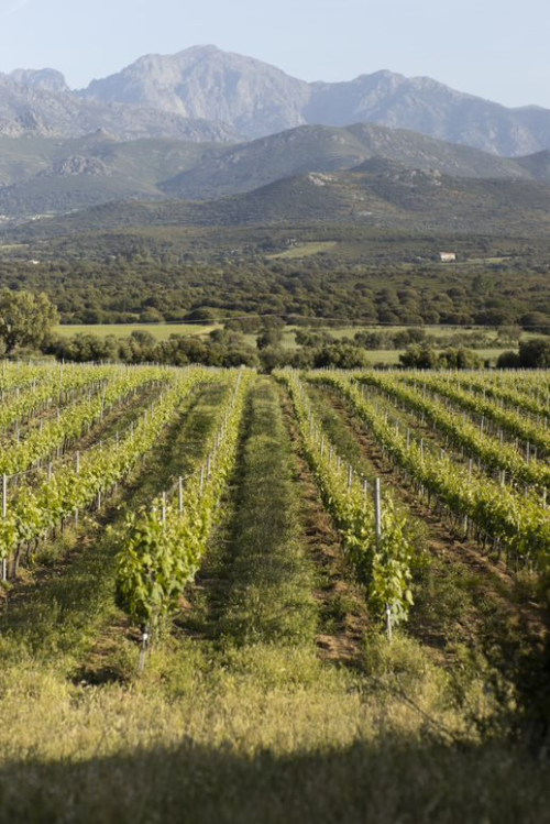clos culombu