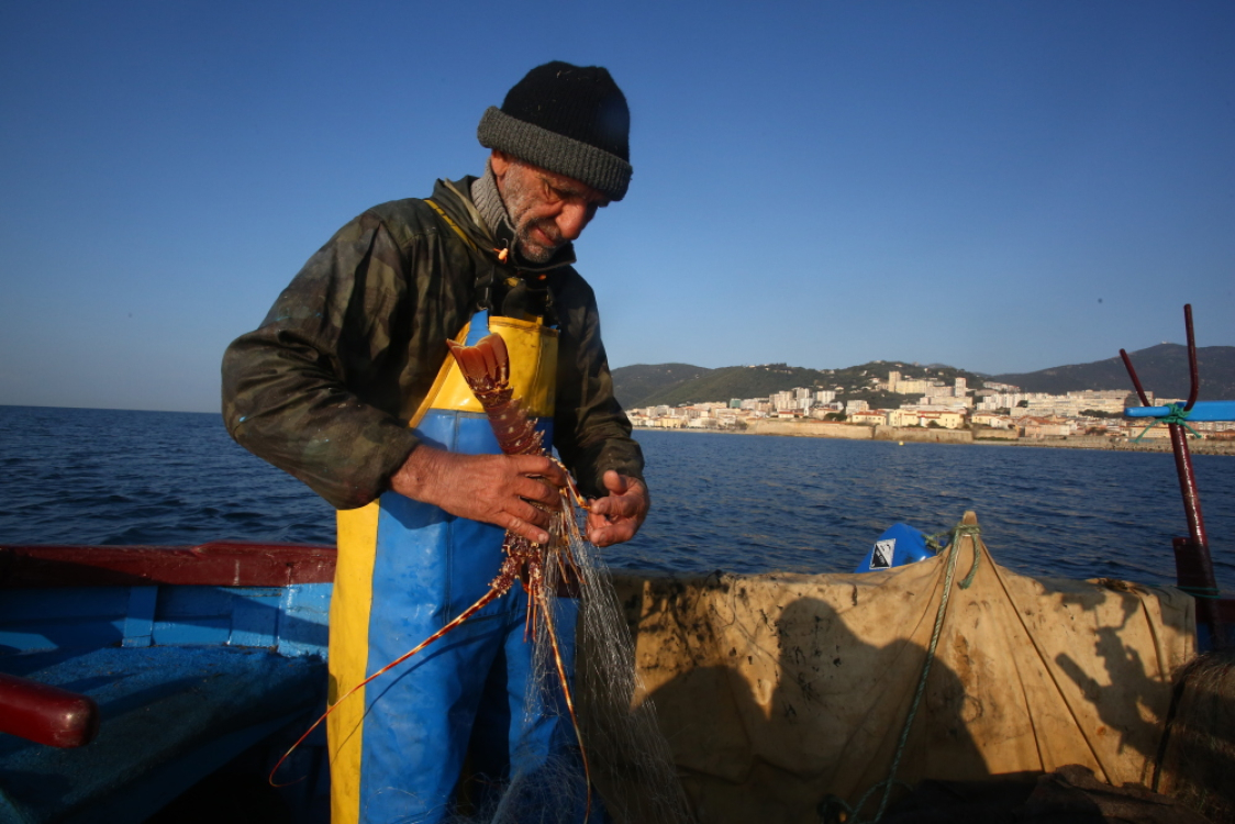 LANGOUSTE