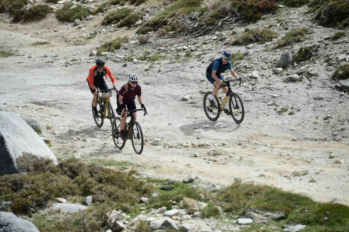 Martina Folco Zambelli