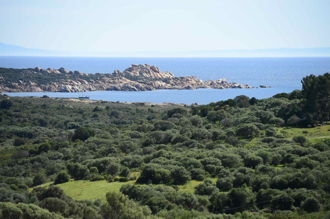 Martina Folco Zambelli