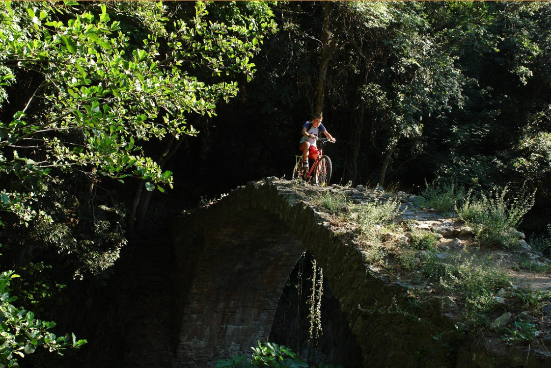 ©hassan bensliman_vtt fotolia