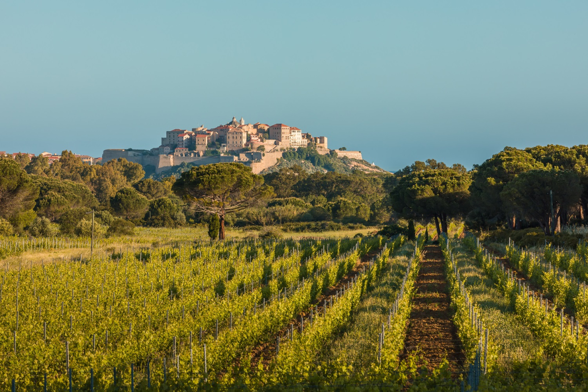 ©istock-joningall-citadelle calvi