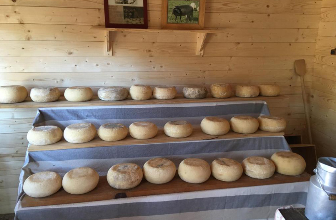 Découvrez la fromagerie de La Ferme de Roccapina Crédit : La Ferme de Roccapina (Booking)