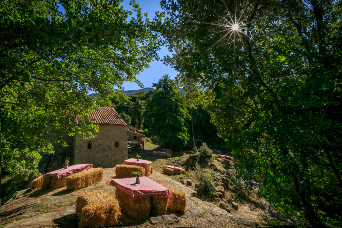 CORSICA EXCLUSIVE