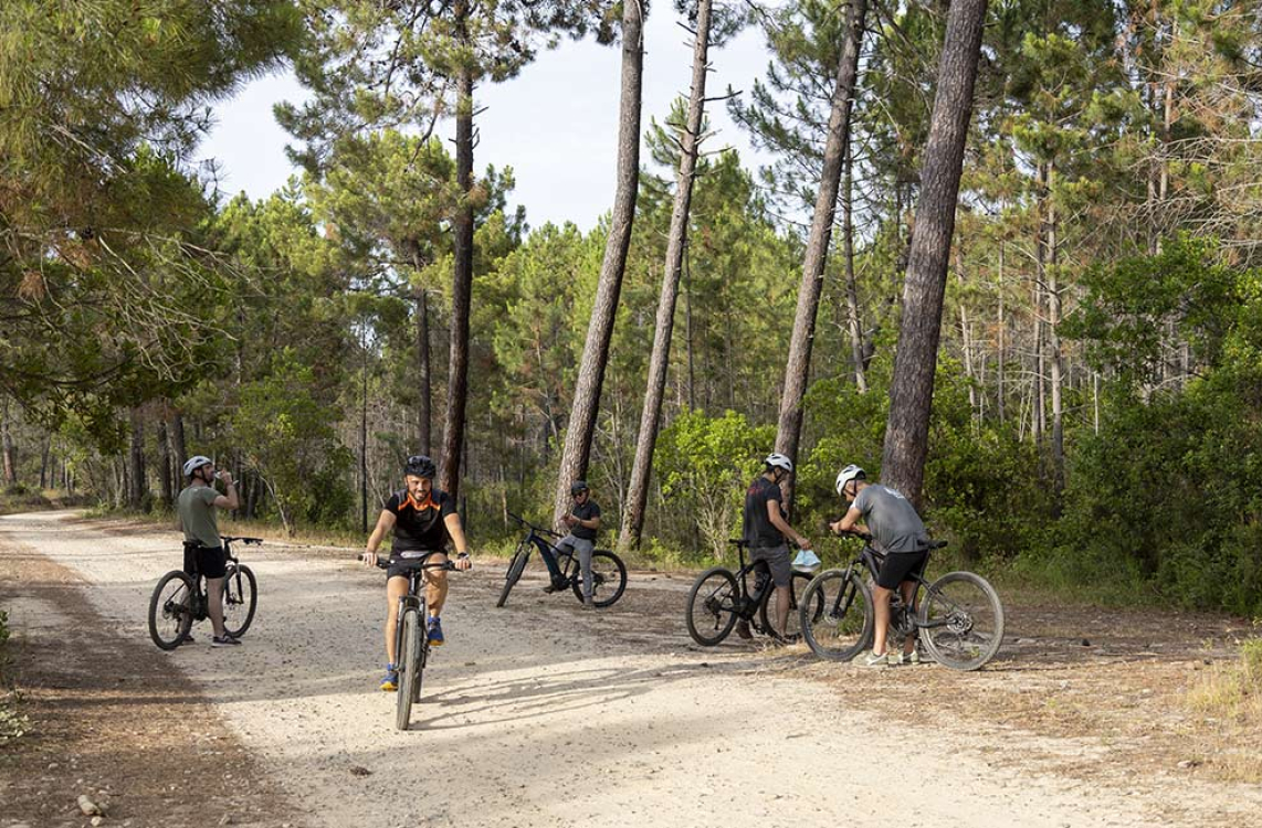 Explorez la Corse grâce à la randonnée en VTT
