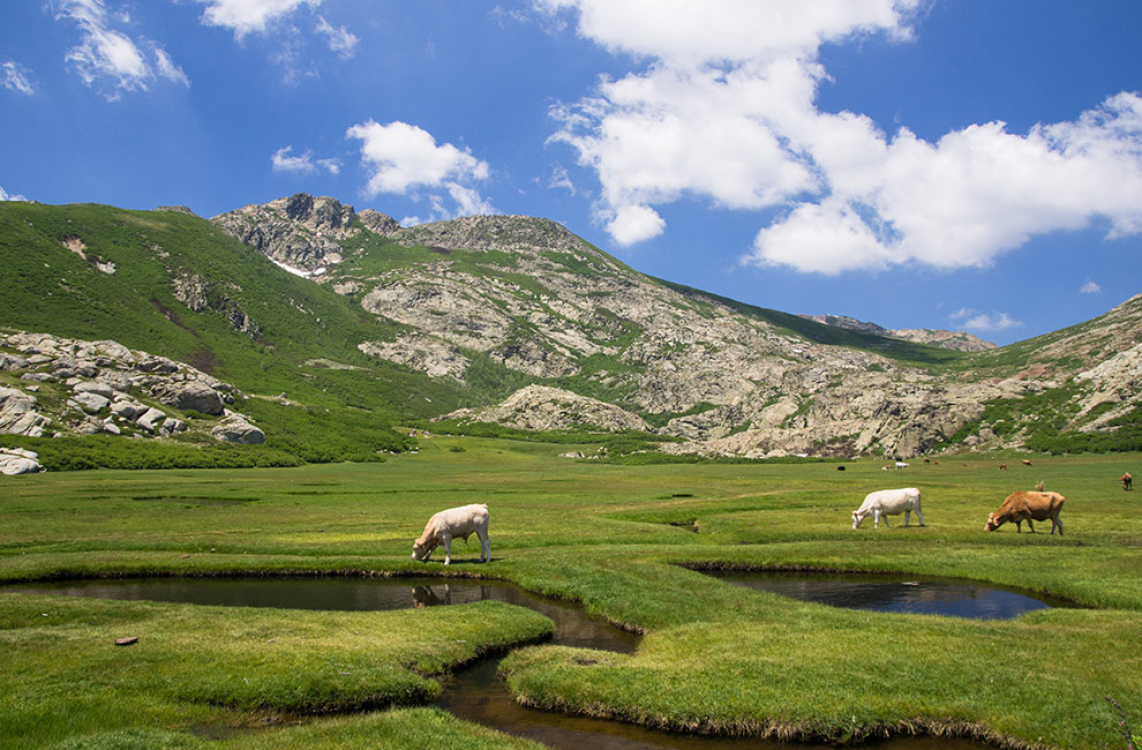 Plateau de Cuscione avec ses pozzine en Corse