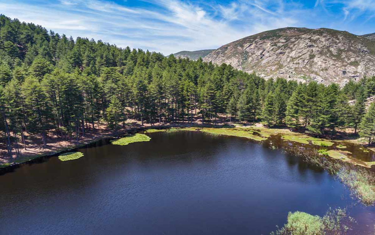 Pine-fringed lake in the heart of the Corsican mountains ©ADOBE STOCK