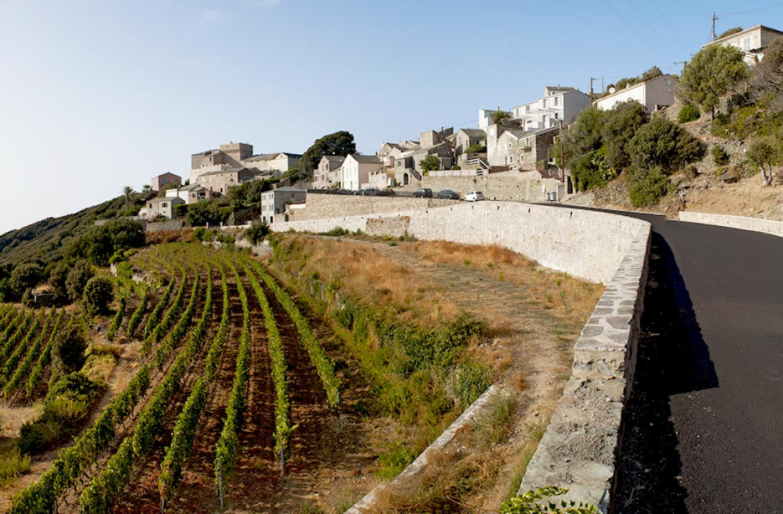 Corsica Wine Route