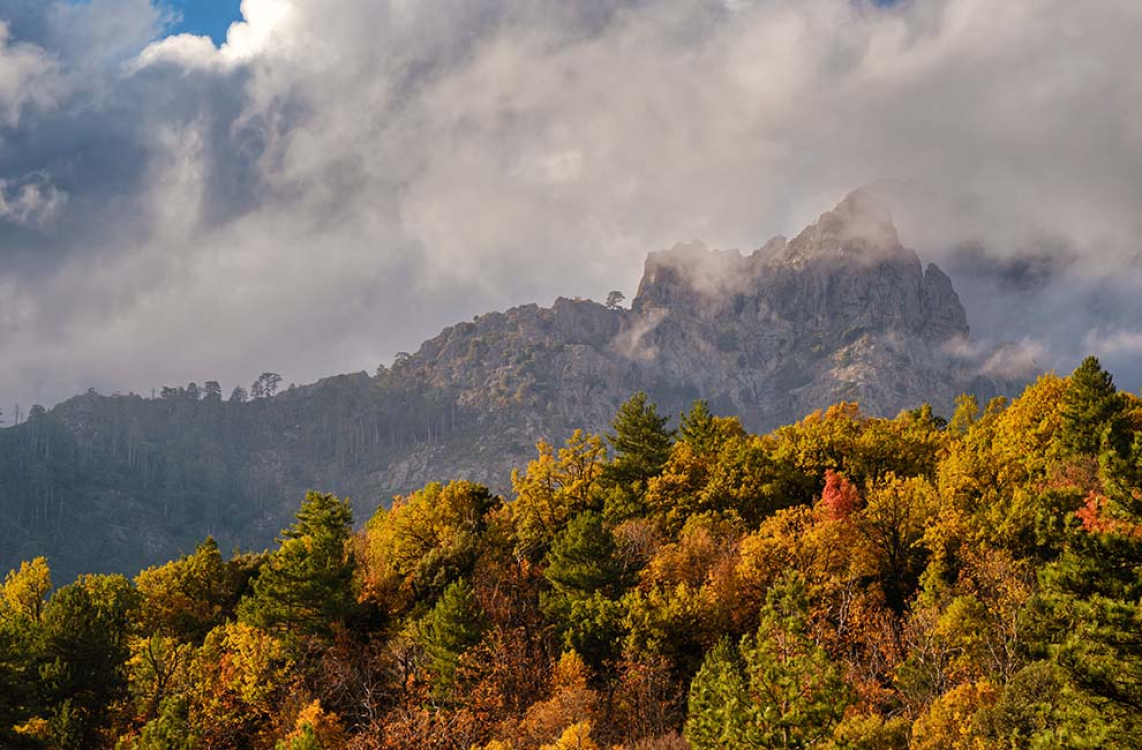 Quand la Corse se pare des couleurs d’automne 