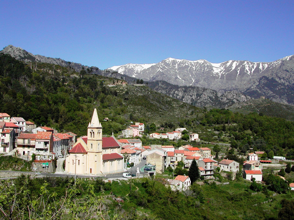 Vivario