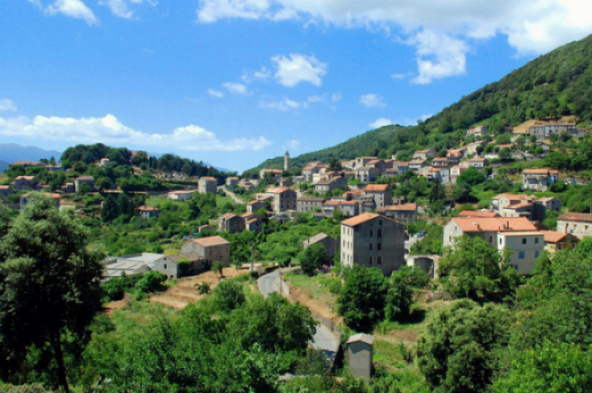 Levie©Fotolia-laugrim16