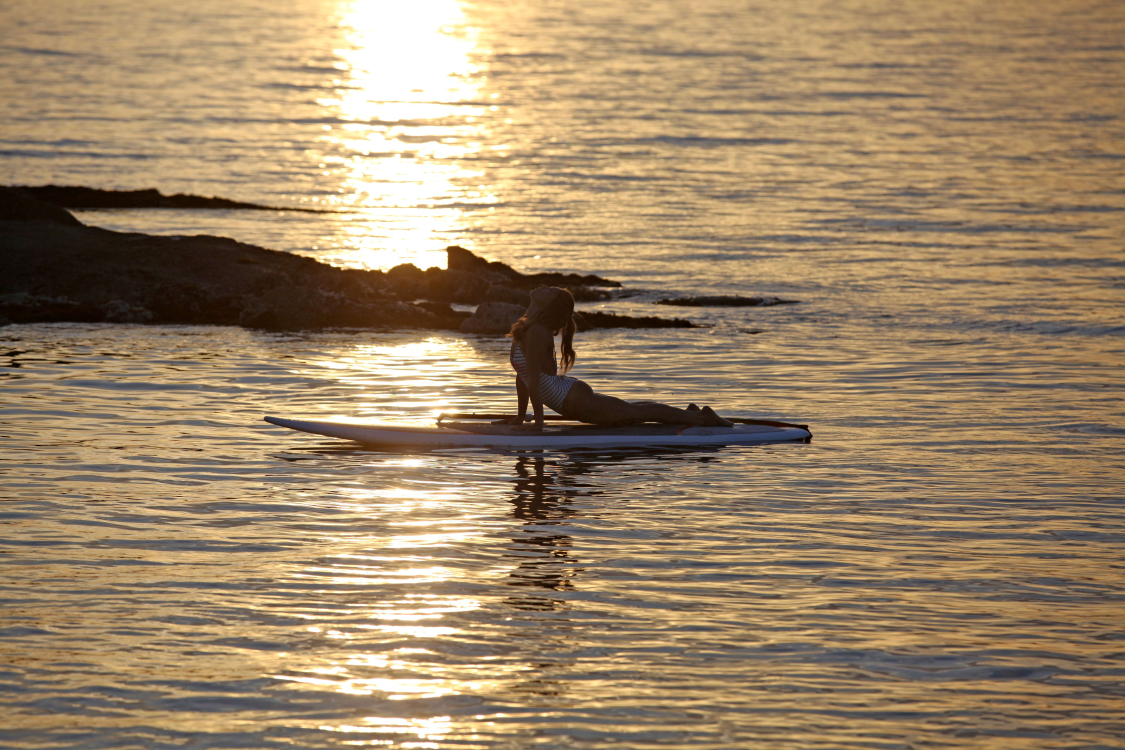 paddlecorse
