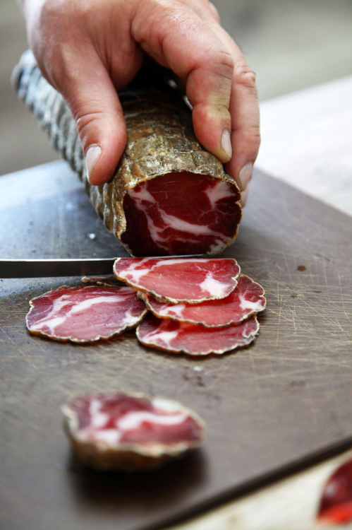 corsegastronomiecoppa