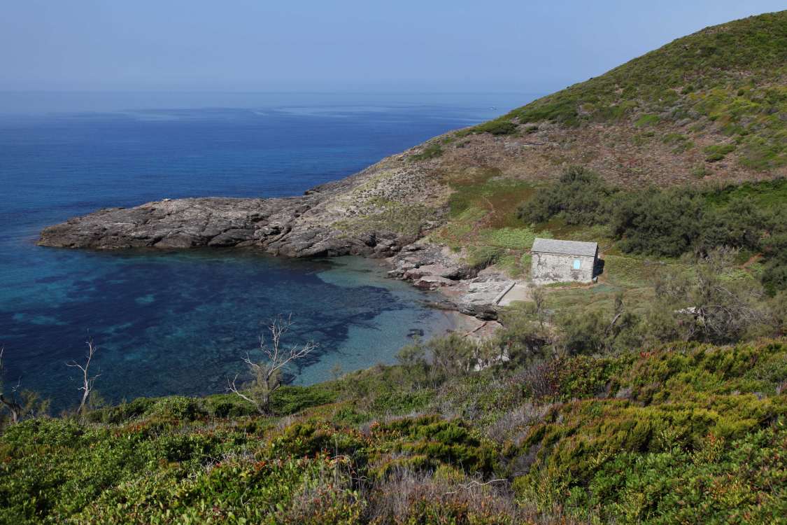 cotecorse
