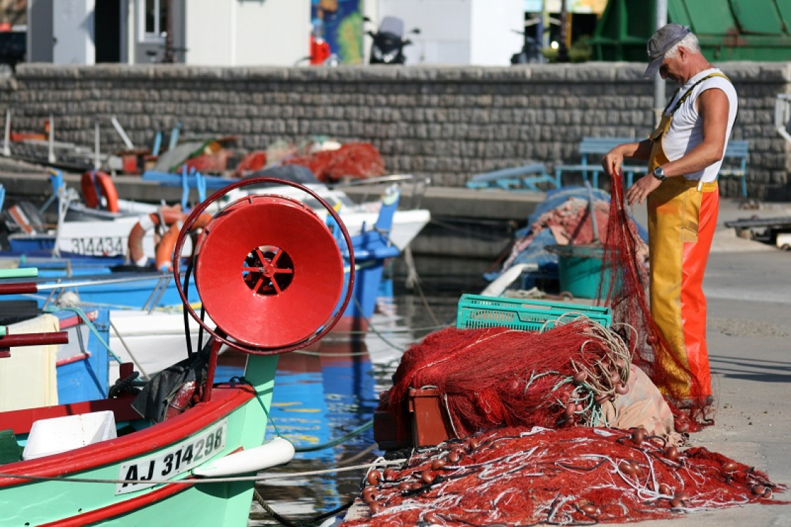 Vieux port Ajaccio©ATC-S.ALESSANDRI