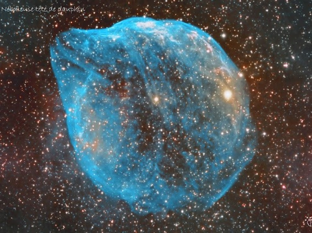 Stelle nebuleuse tete de dauphin ©ATC