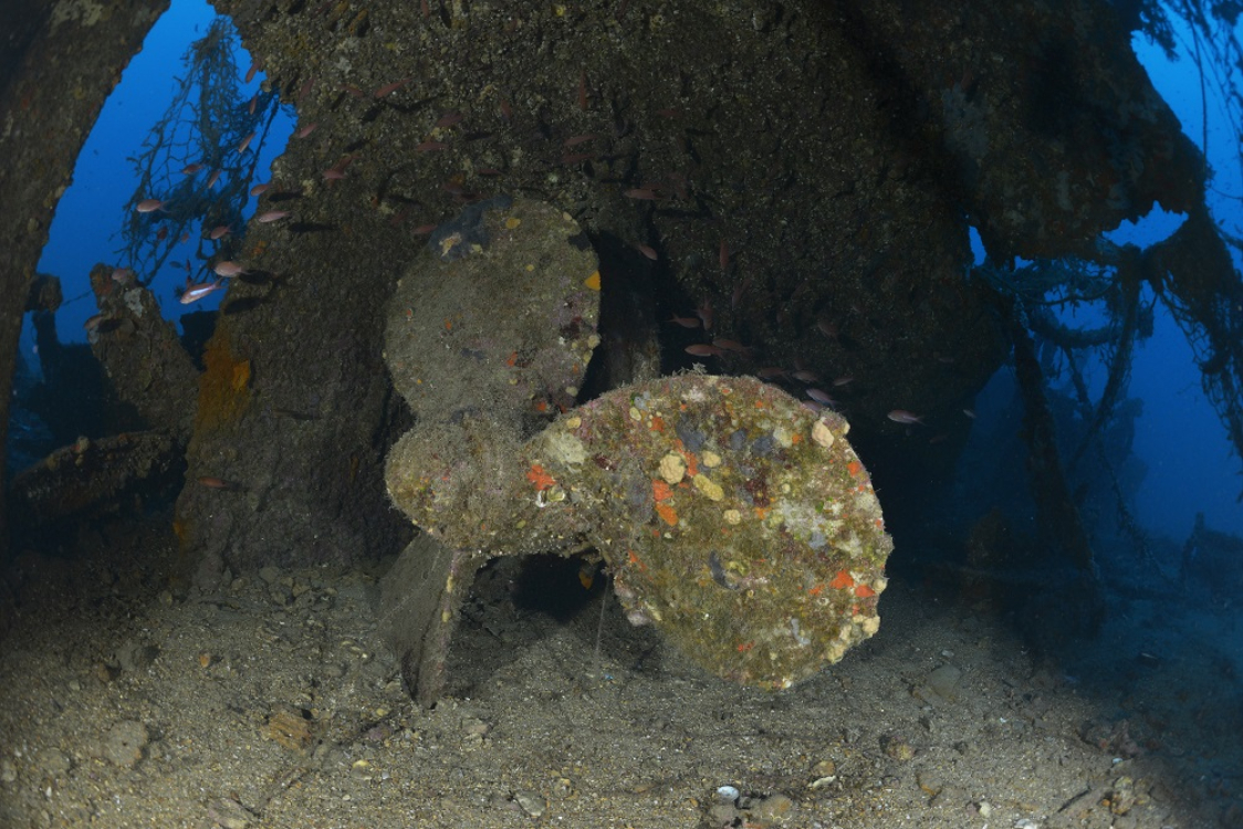 Epave de l'Insuma - Cap Corse ©N Barraqué