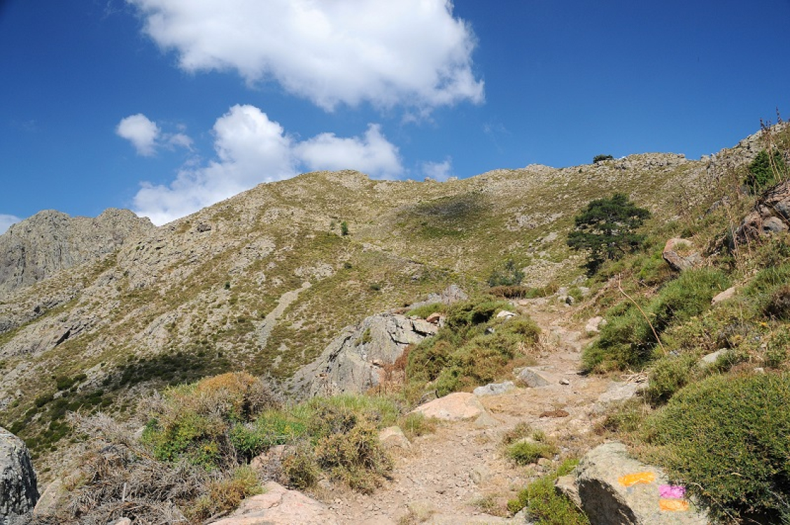 Le sentier du Mare Monti