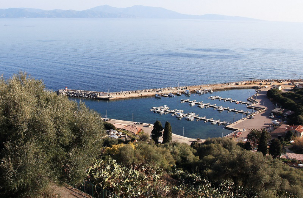 Le Port de Carghjese ©ATC-S.ALESSANDRI