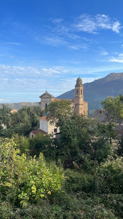 L'église San Roccu de Felicetu - Balagne @ATC