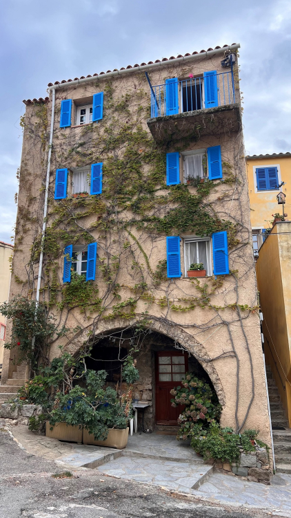 Façade colorée à Montemaggiore - Balagne@ATC