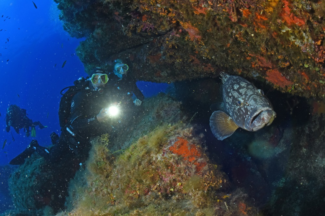 Sécurité en plongée - Corse ©Nicolas Barraqué