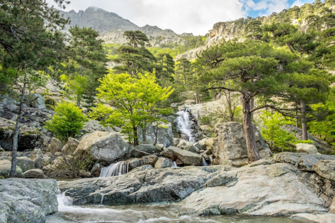 Vue sur la cascade des Anglais dans la forêt de Vizzavona en Corse ©ADOBESTOCK