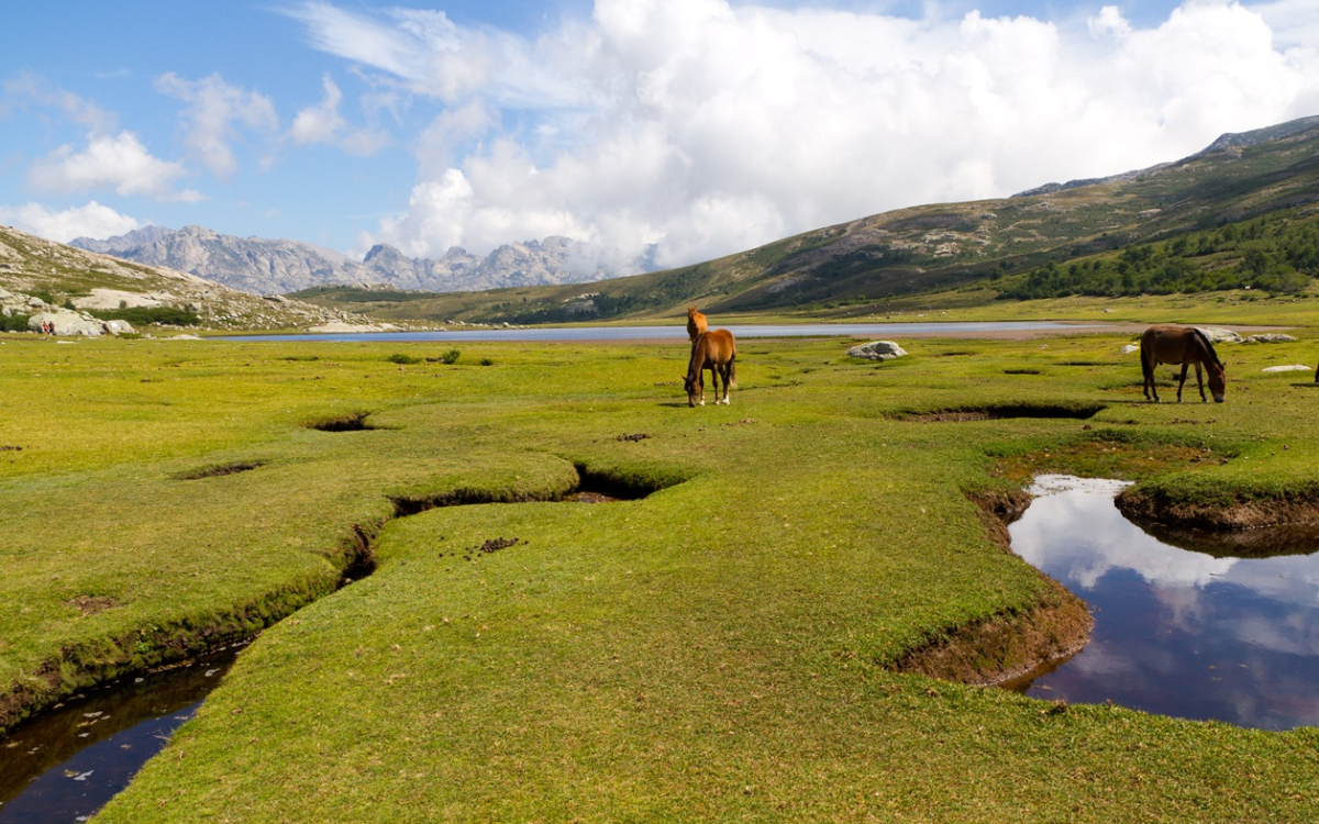 Lago di Ninu ©adobestock