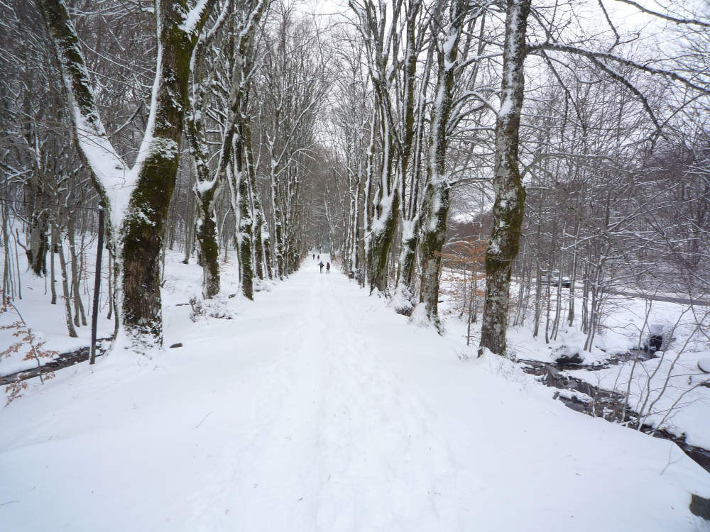 vizzavona neige