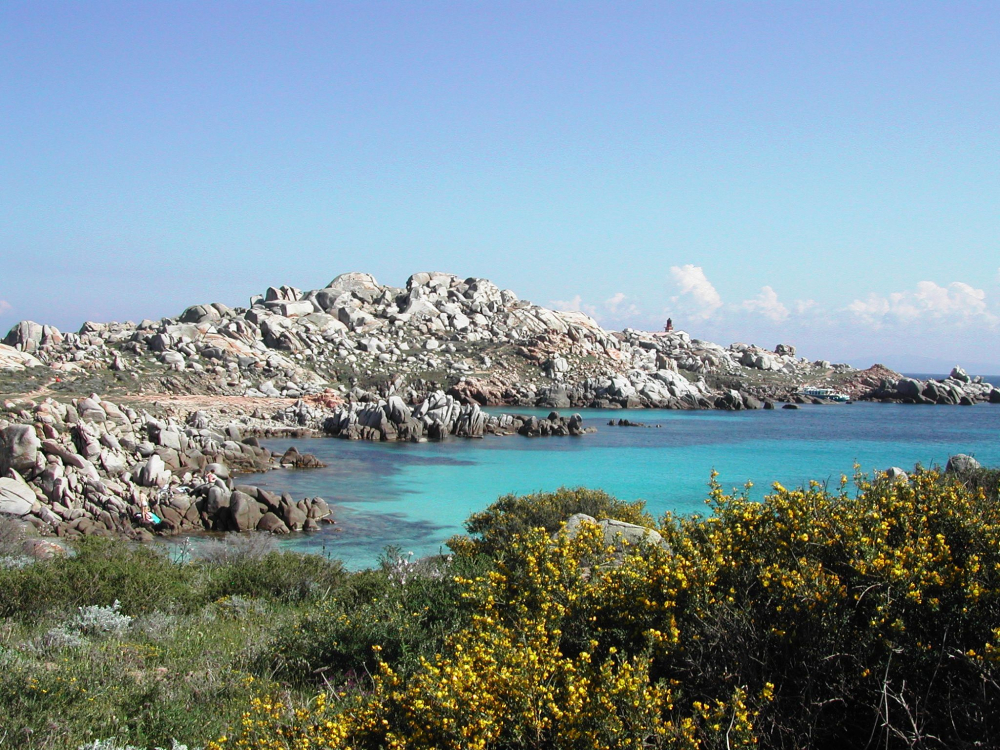 Iles Lavezzi maquis et mer