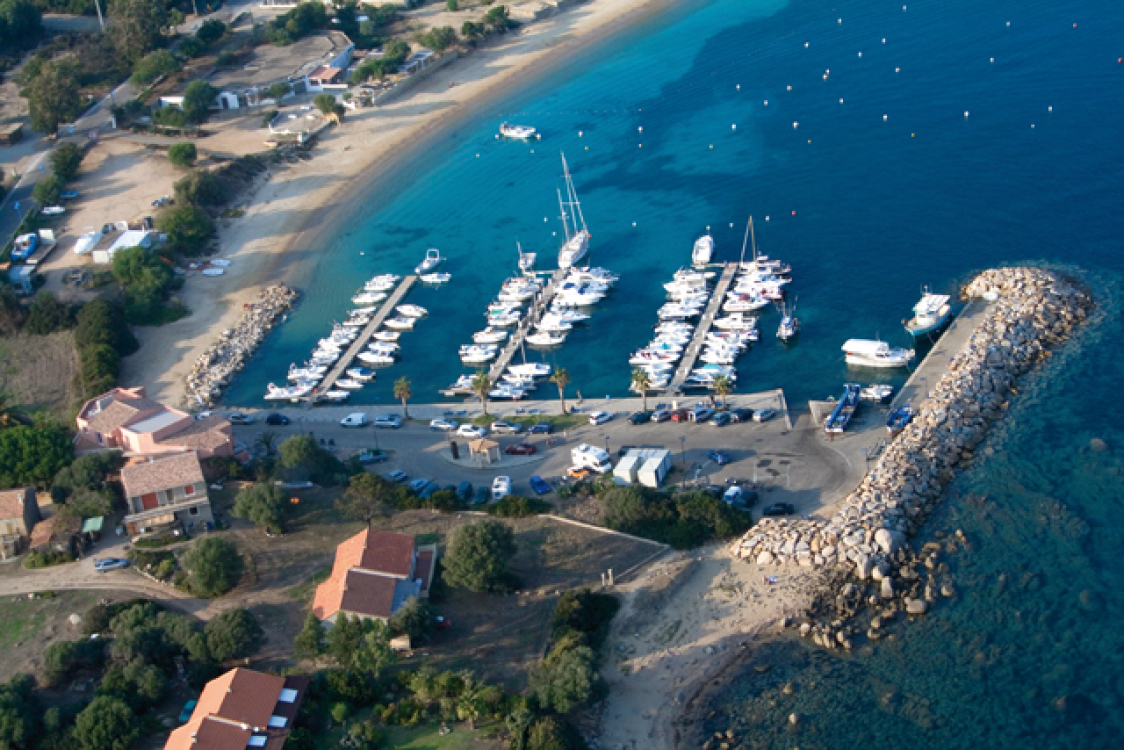 PortoPollo